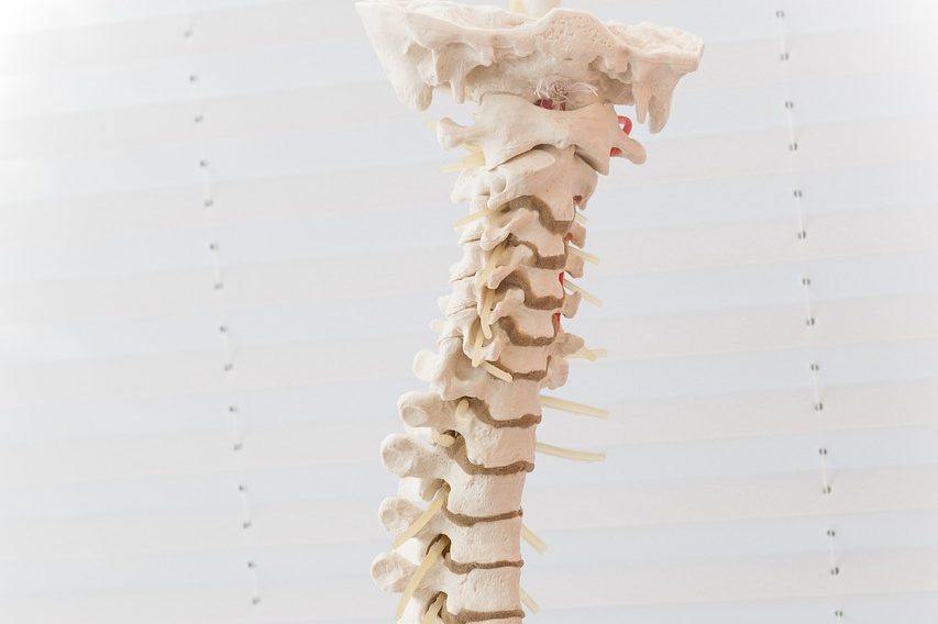 Dorn Therapie 
Heilpraktikerin
Mareike Janßen-Gotowka
in Bockhorn